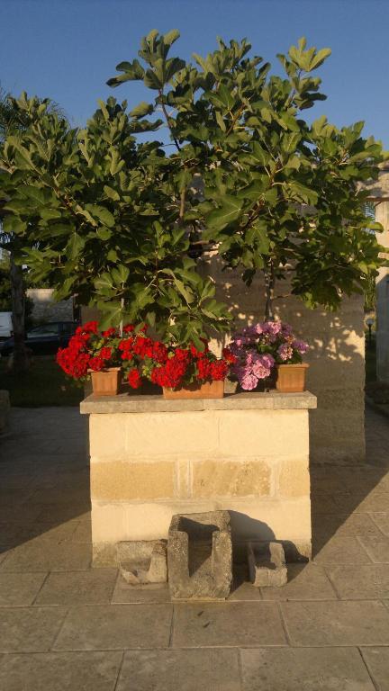 Masseria Grande Hotell Torre dell'Orso Eksteriør bilde